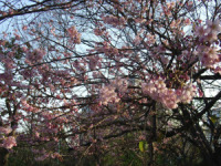 ������20090214